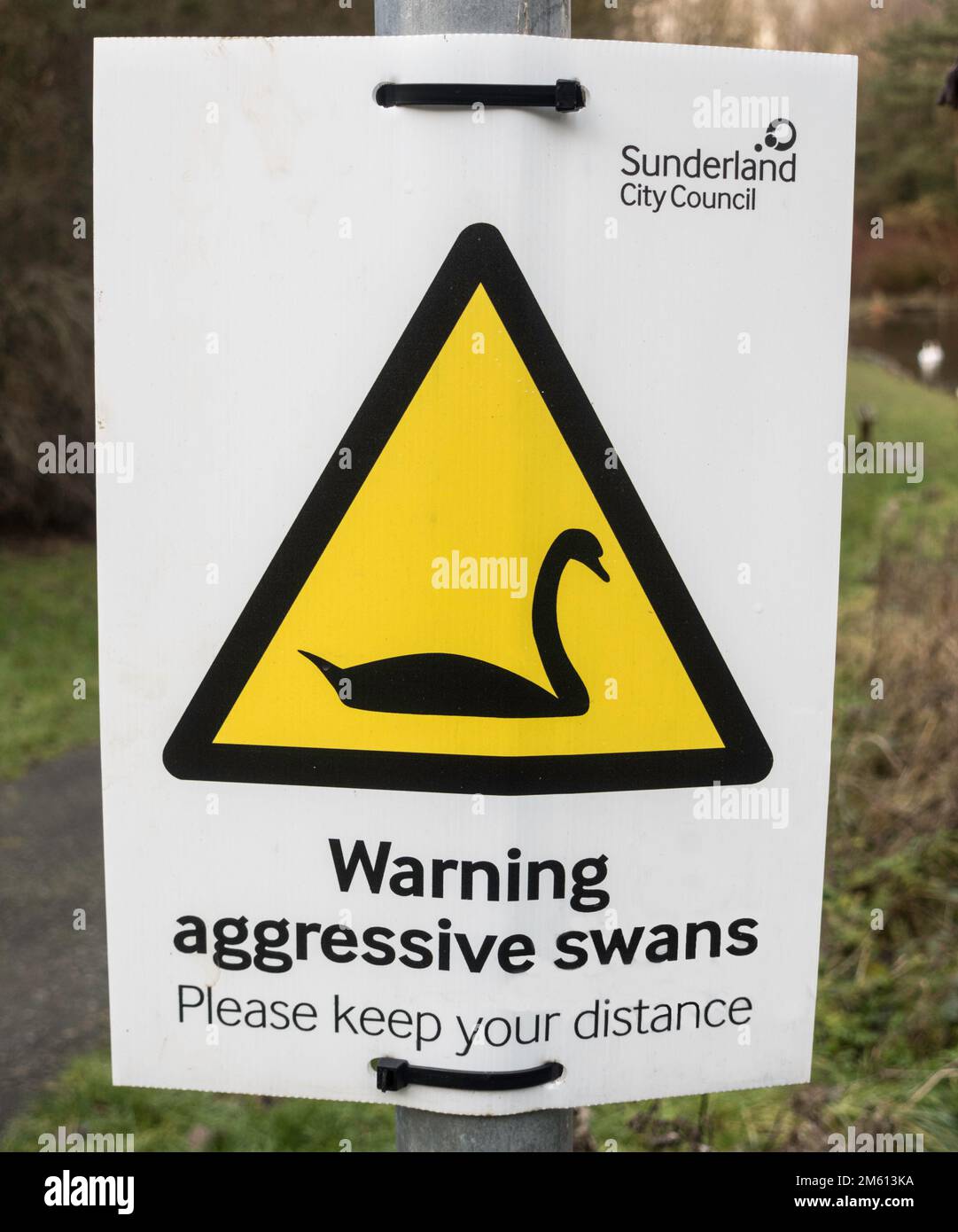 Sign Warning aggressive swans please keep your distance Stock Photo