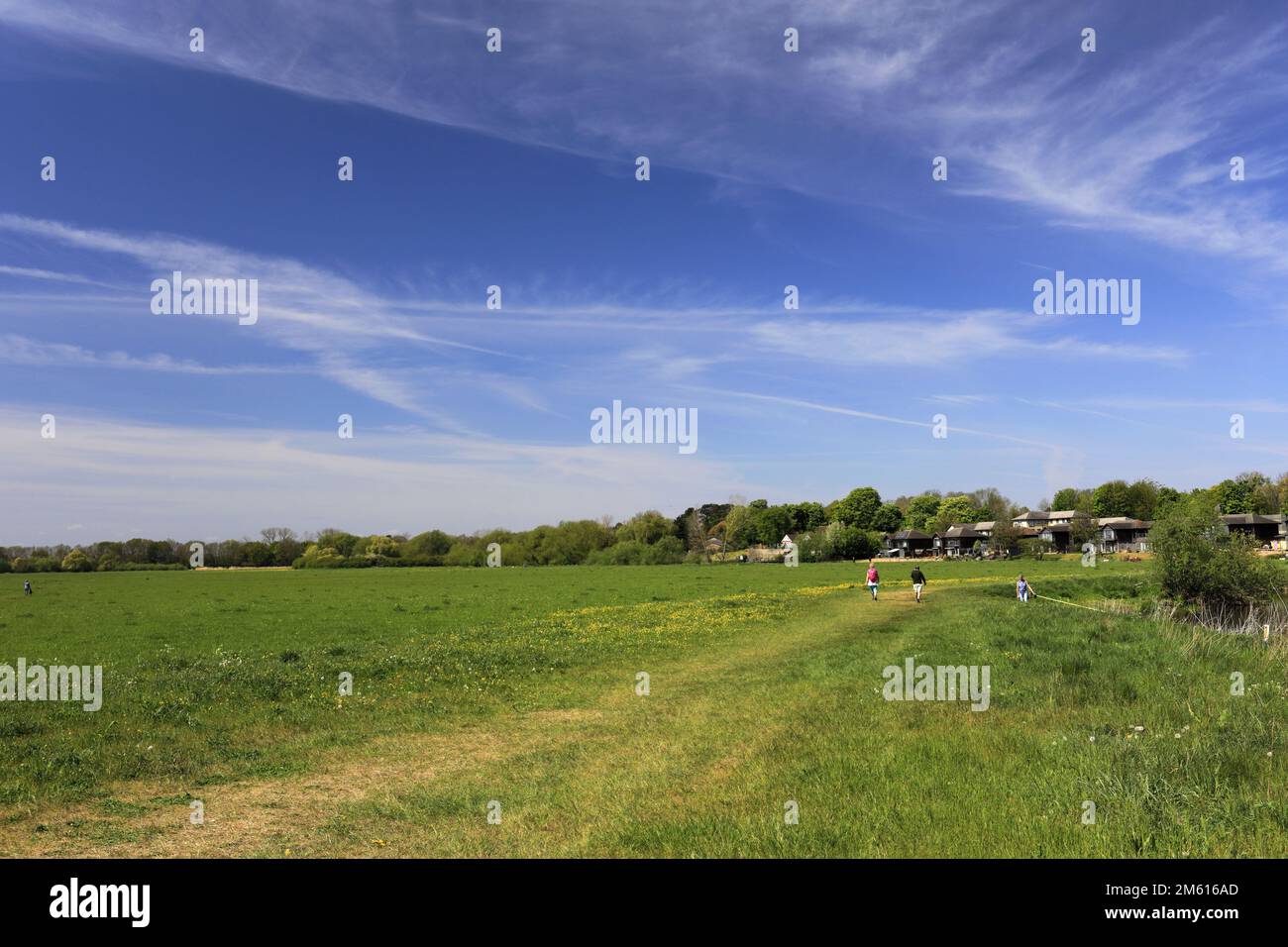 Portholme wildflower meadow hi-res stock photography and images - Alamy