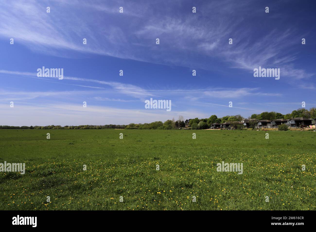Portholme wildflower meadow hi-res stock photography and images - Alamy