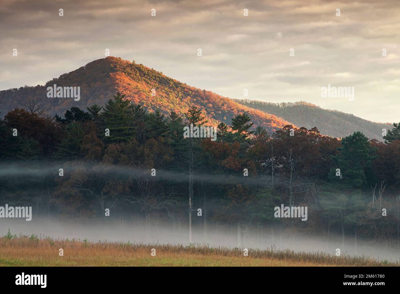 Misty autumn morning in the Cades Cove section of Great Smoky Mountains National Park in Tennessee Stock Photo