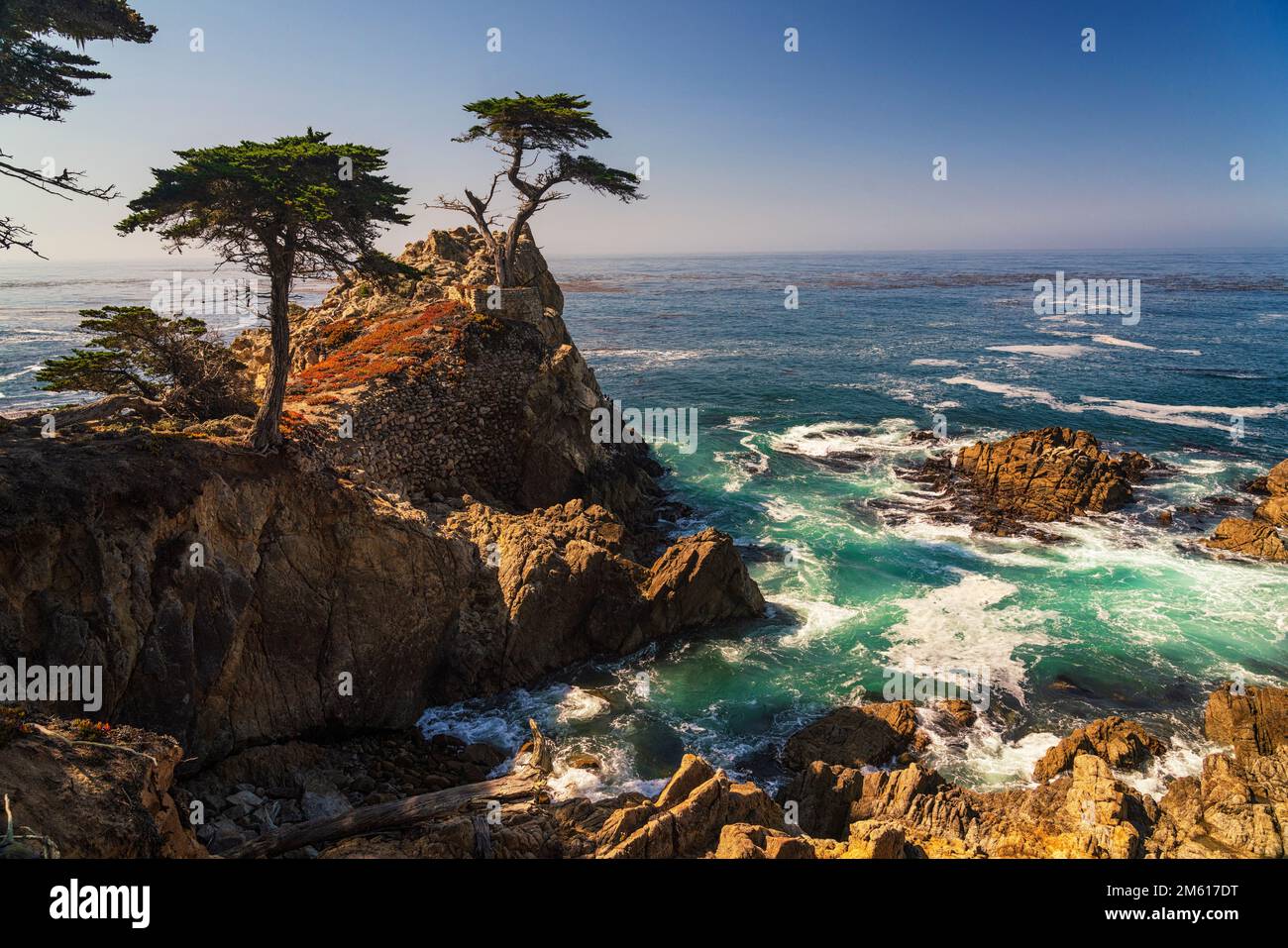 The iconic Lone Cypress on 17 Mile Drive near Monterey and Carmel, California Stock Photo