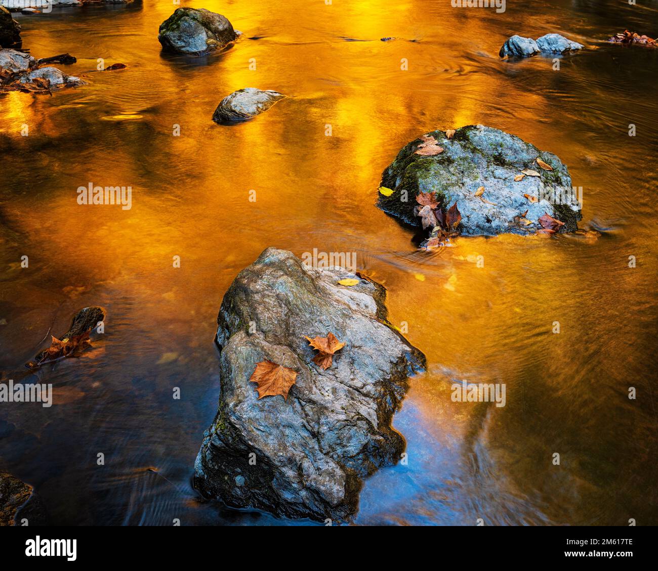Autumn color reflected in the Little Pigeon River in Great Smoky Mountains National Park near Townsend, Tennessee Stock Photo