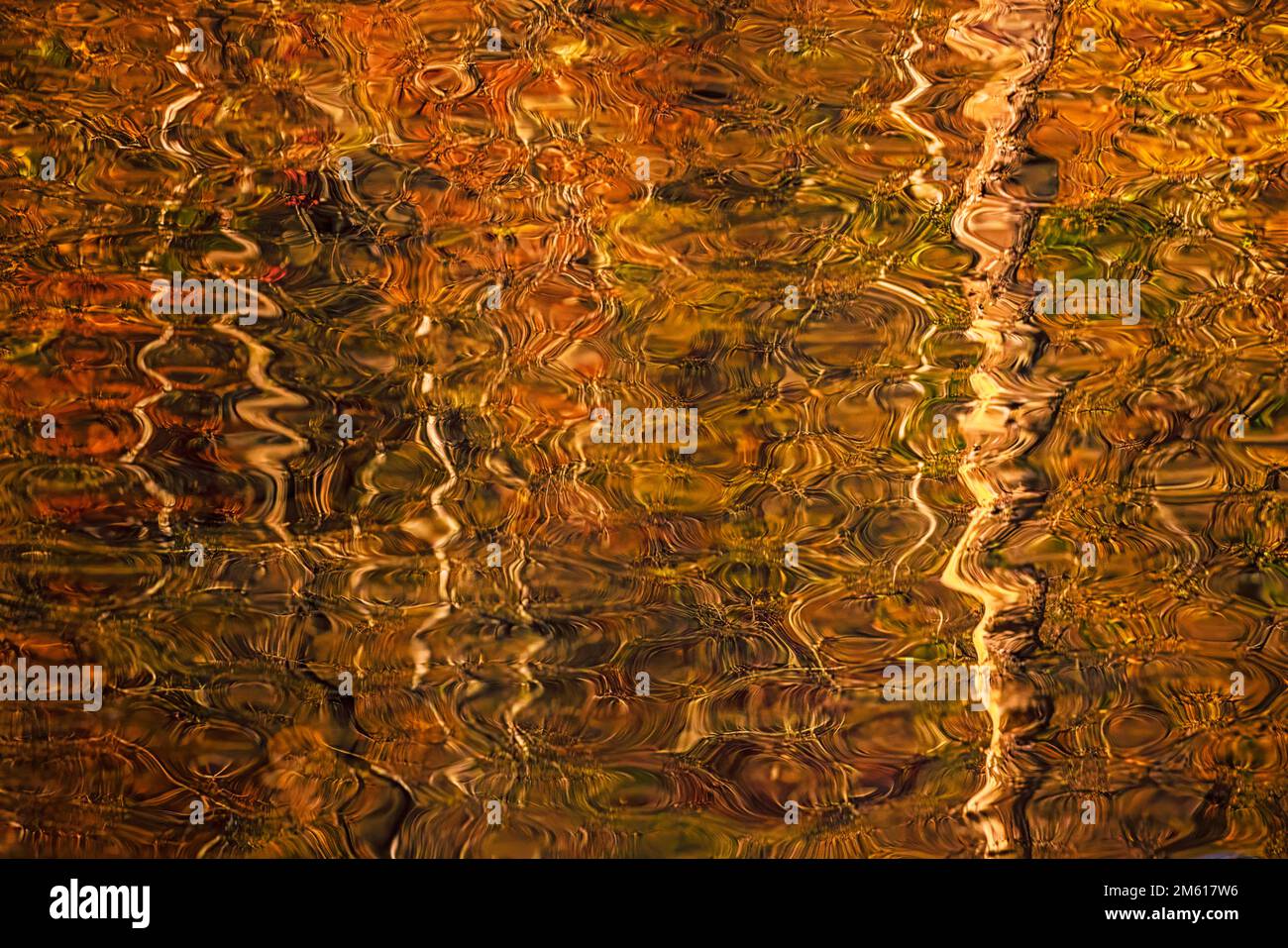 Colorful autumn reflections in the Little Pigeon River near Townsend, Tennessee Stock Photo