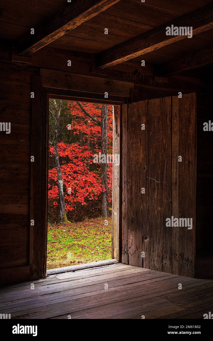 Autumn color through the back door of Carter Shields cabin in the Cades Cove section of Great Smoky Mountains National Park in Tennessee Stock Photo