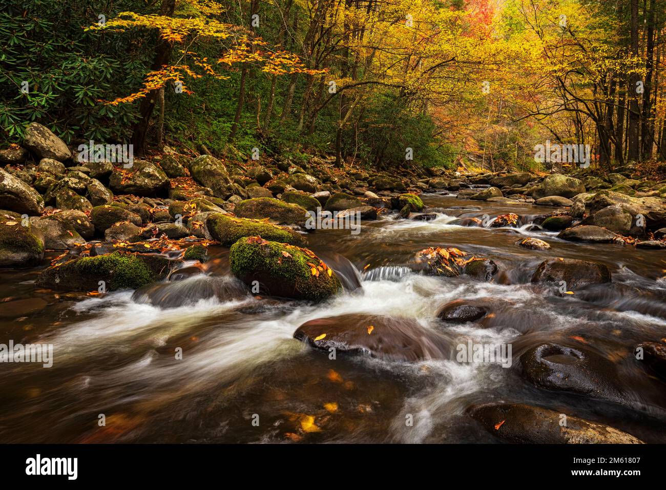 Autumn river scene in the Tremont Section of Great Smoky Mountain