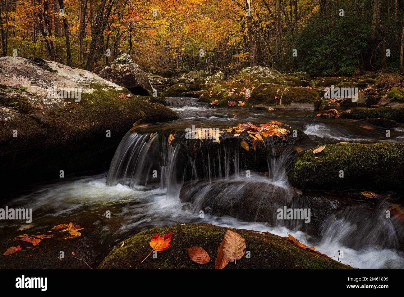 Autumn river scene in the Tremont Section of Great Smoky Mountain