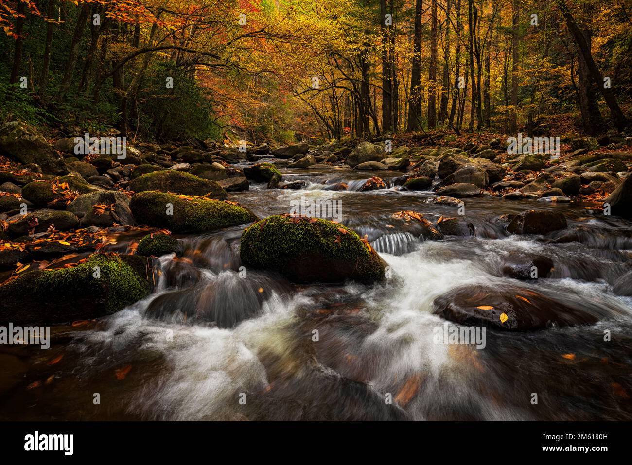 Autumn river scene in the Tremont Section of Great Smoky Mountain