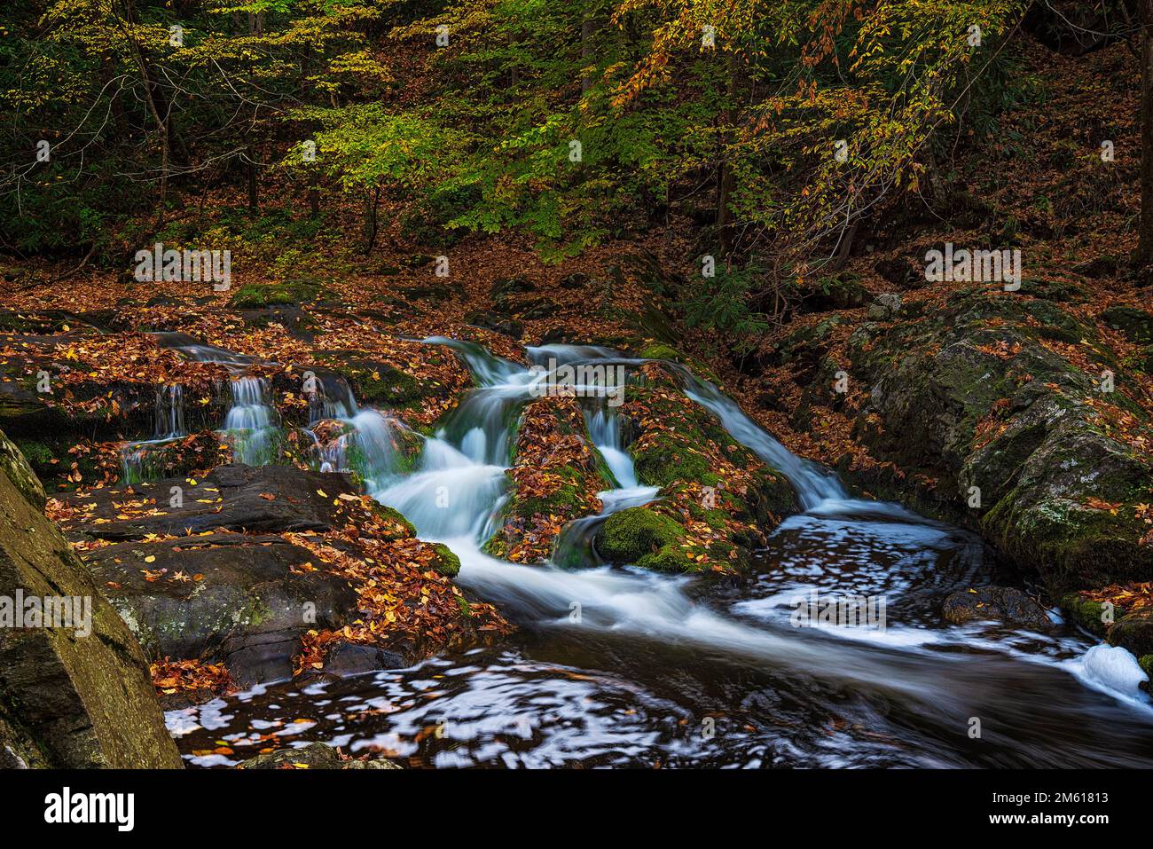 Autumn view of small cascade along the Little Pegeon River in Great Smoky Mountain National Park near Townsend, Tennessee Stock Photo