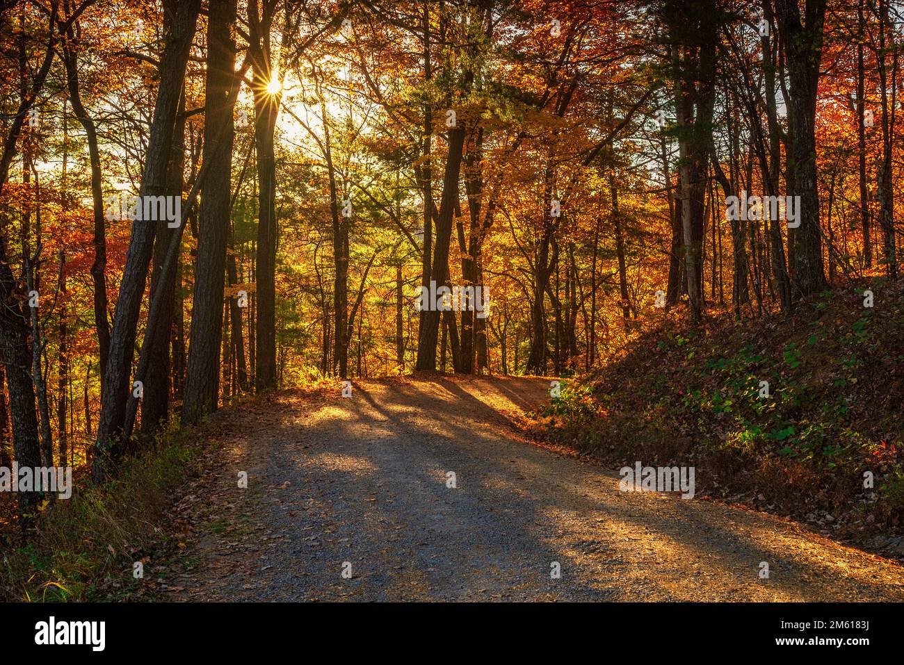 Sun shining through autumn forest in Great Smoky Mountain National Park in Tennessee Stock Photo