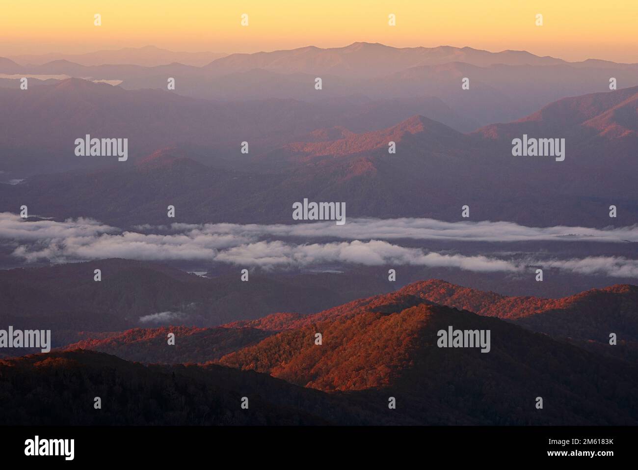 Pastel colors of. Misty morning from Clingmans Dome in Great Smoky Mountain National Park in Tennessee Stock Photo