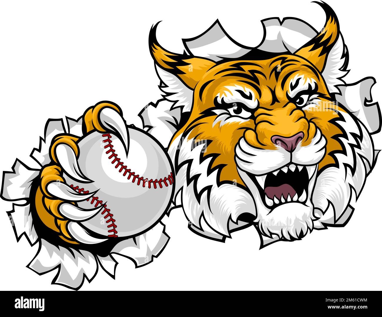 Wildcat Bobcat Baseball Ball Animal Team Mascot Stock Vector