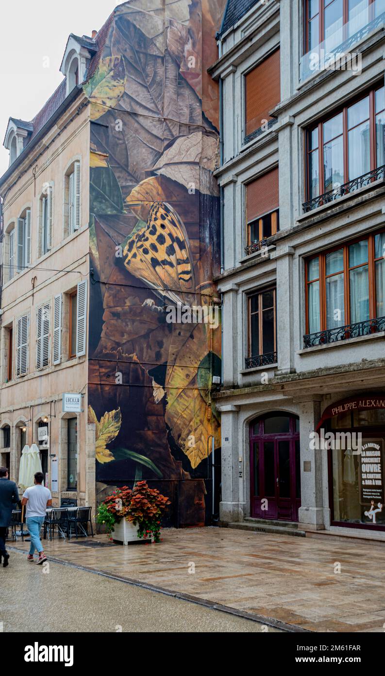 Forest floor mural street art in Dijon, France Stock Photo