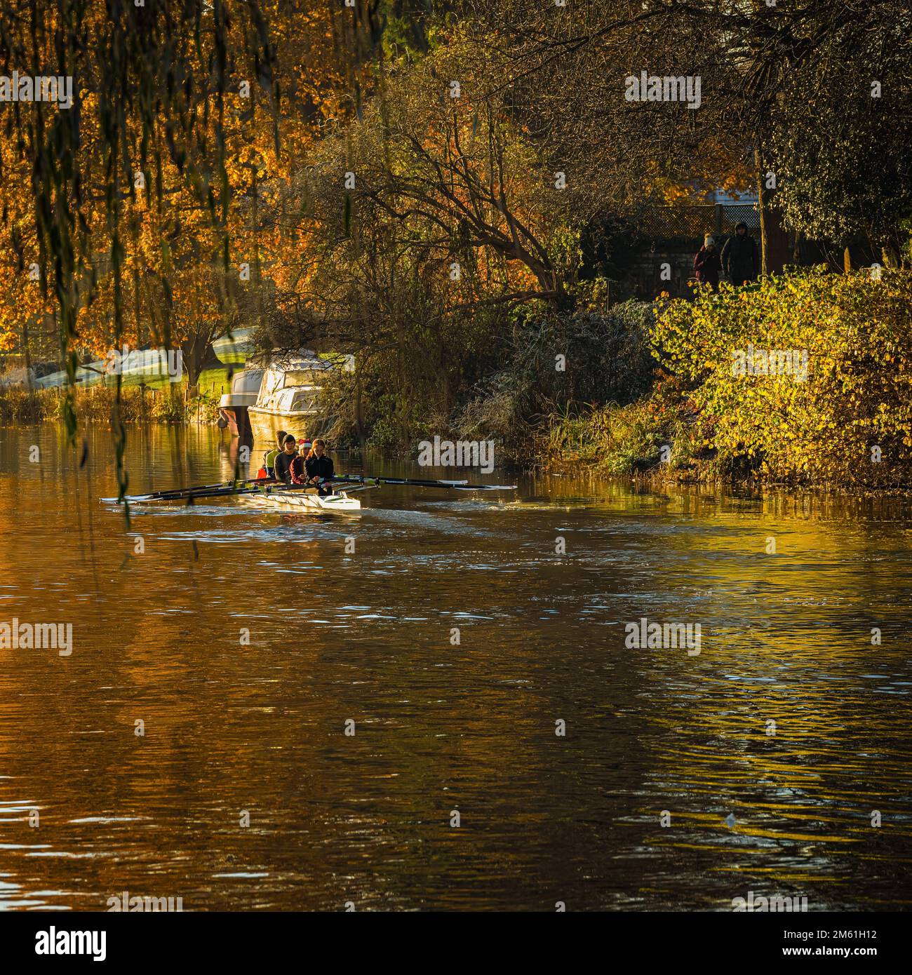 Rowers in a racing shell on the river Avon, with colourful autumn foliage reflected in the water. Stock Photo
