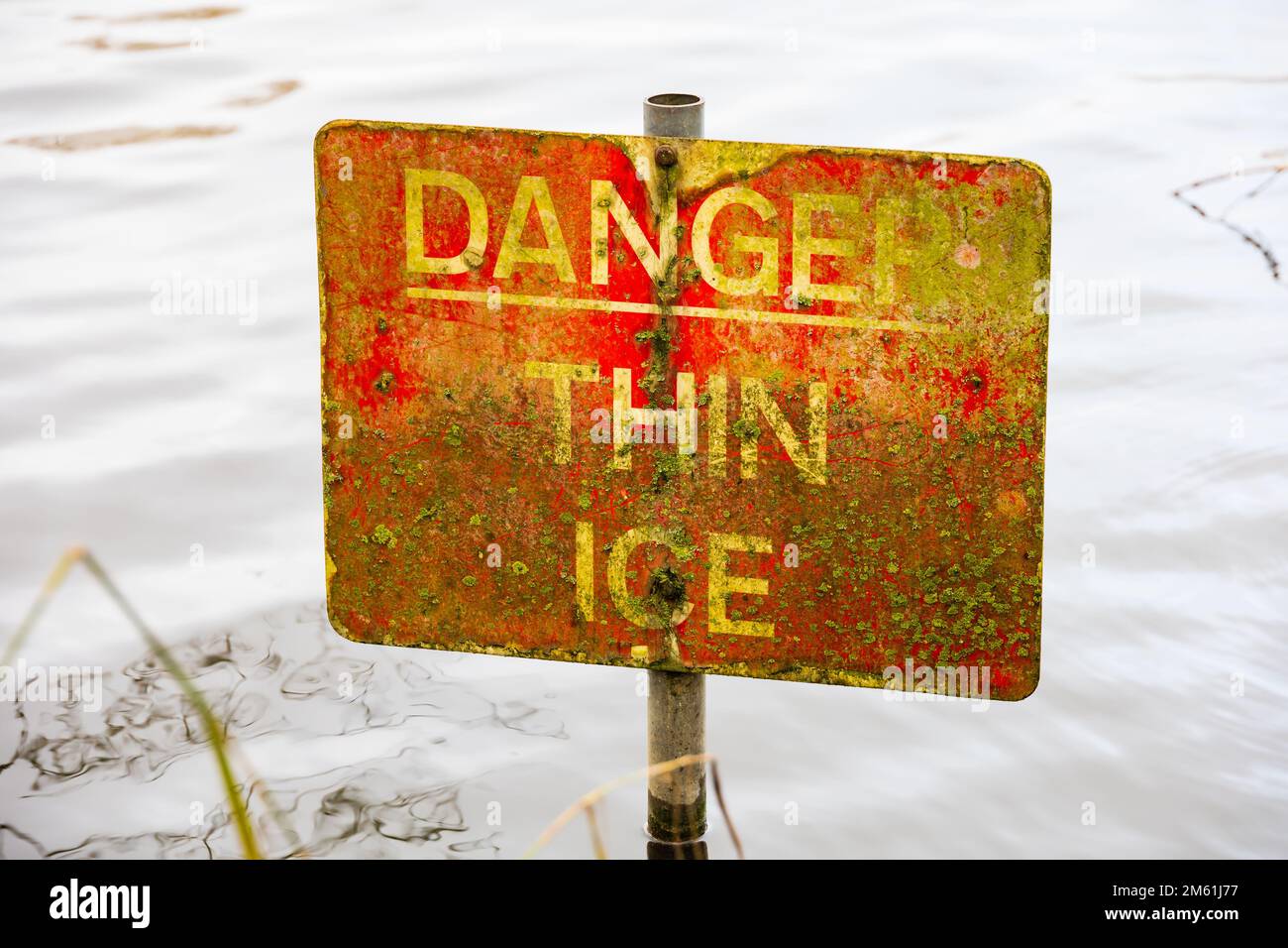 'Danger thin ice' warning sign in water. The sign is faded and has a covering of lichen moss. Stock Photo