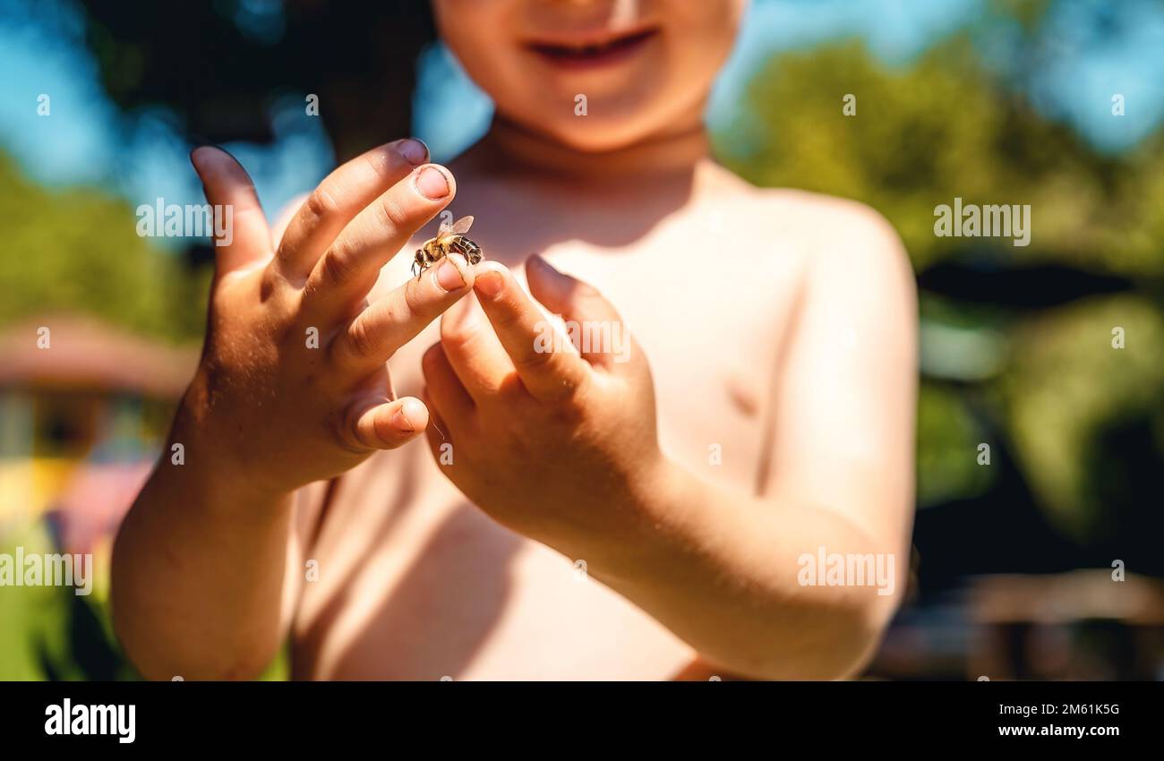 the boy holds a bee in his hand. Stock Photo