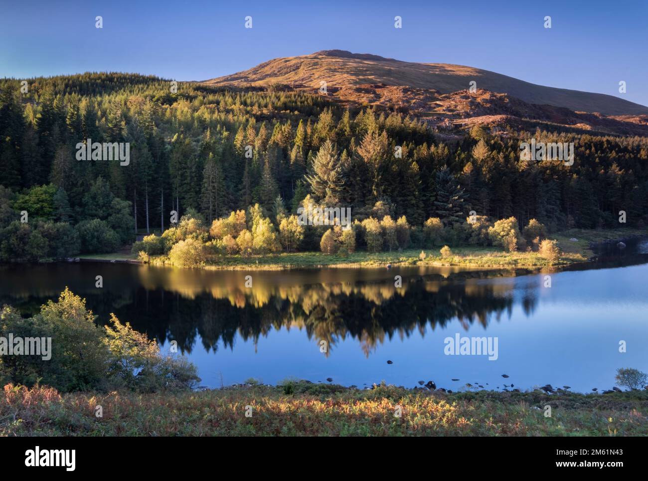 Early morning light on Moel Siabod over Llynnau Mymbyr, near Capel Curig, Snowdonia National Park, North Wales, UK Stock Photo
