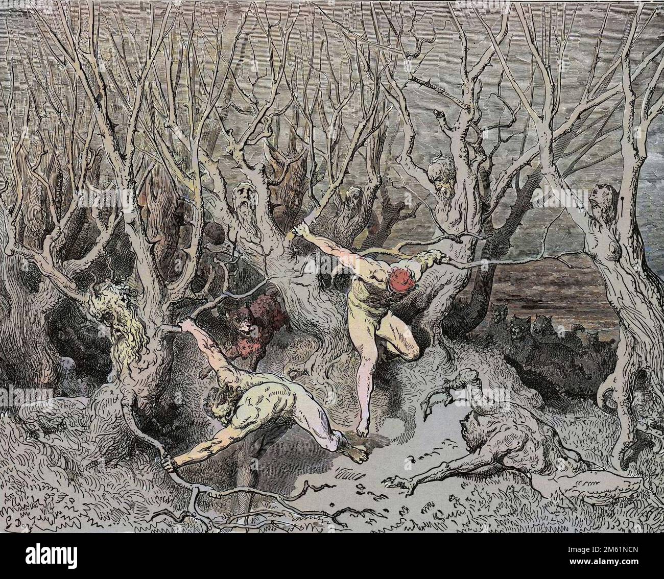 The Divine Comedy by Dante Alighieri , Inferno, Canto 13 : The suicides flee the forest - by Dante Alighieri (1265-1321) - Illustration de Gustave Dore (1832-1883), 1885 - Colorisation digitale d'apres l'originale Stock Photo