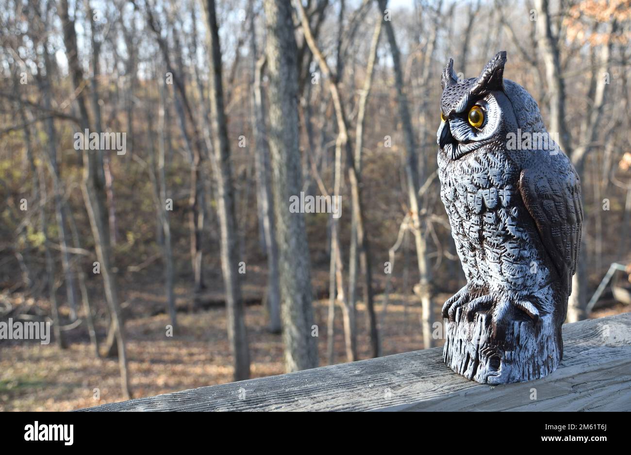 Plastic owl mimics a predator to keep small animals and other birds