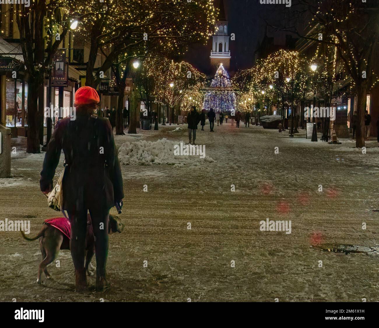 Burlington Low Storage Cabinet, image size:1300x1127