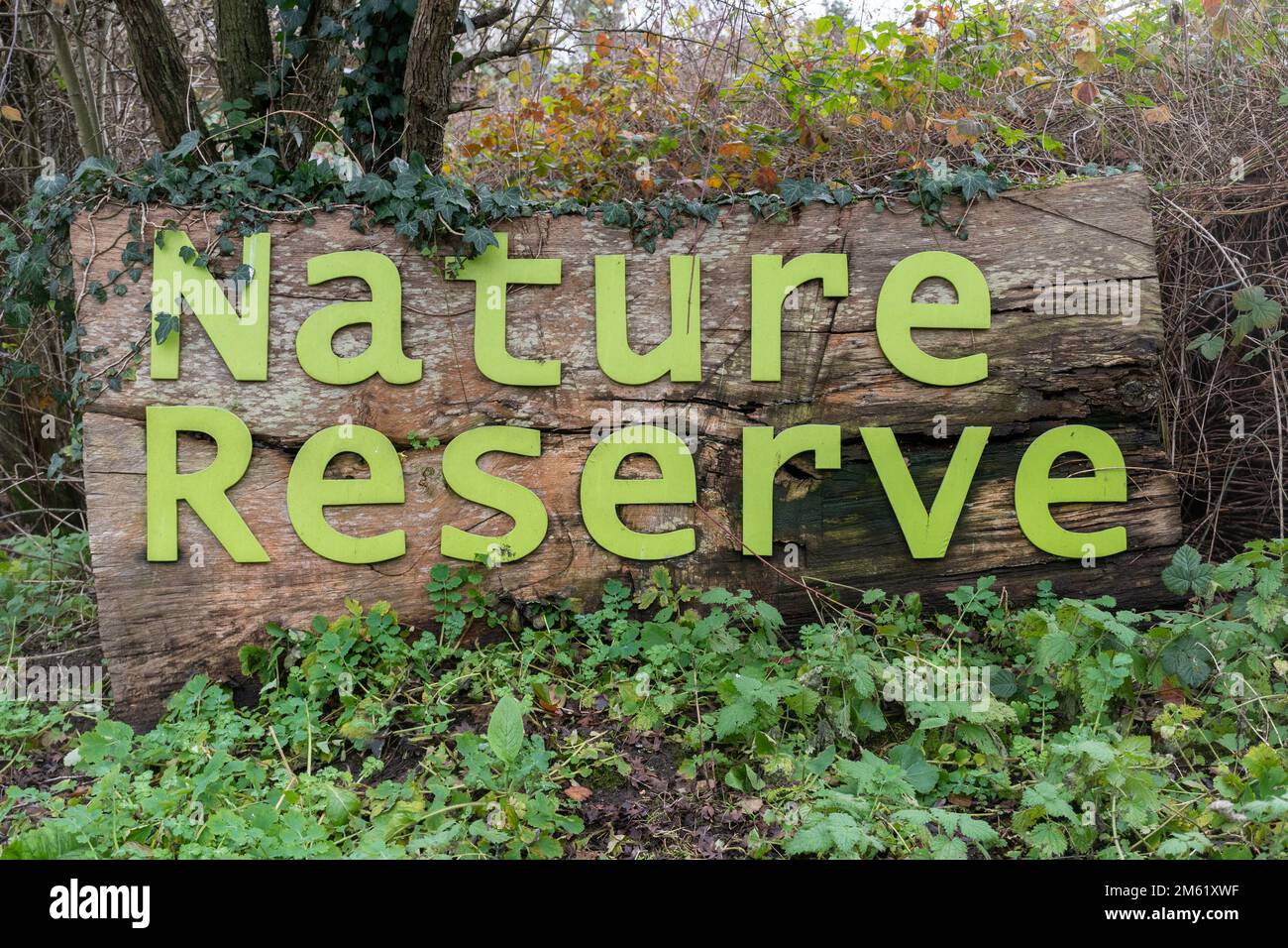 Nature Reserve sign, green letters on a log pile, UK Stock Photo