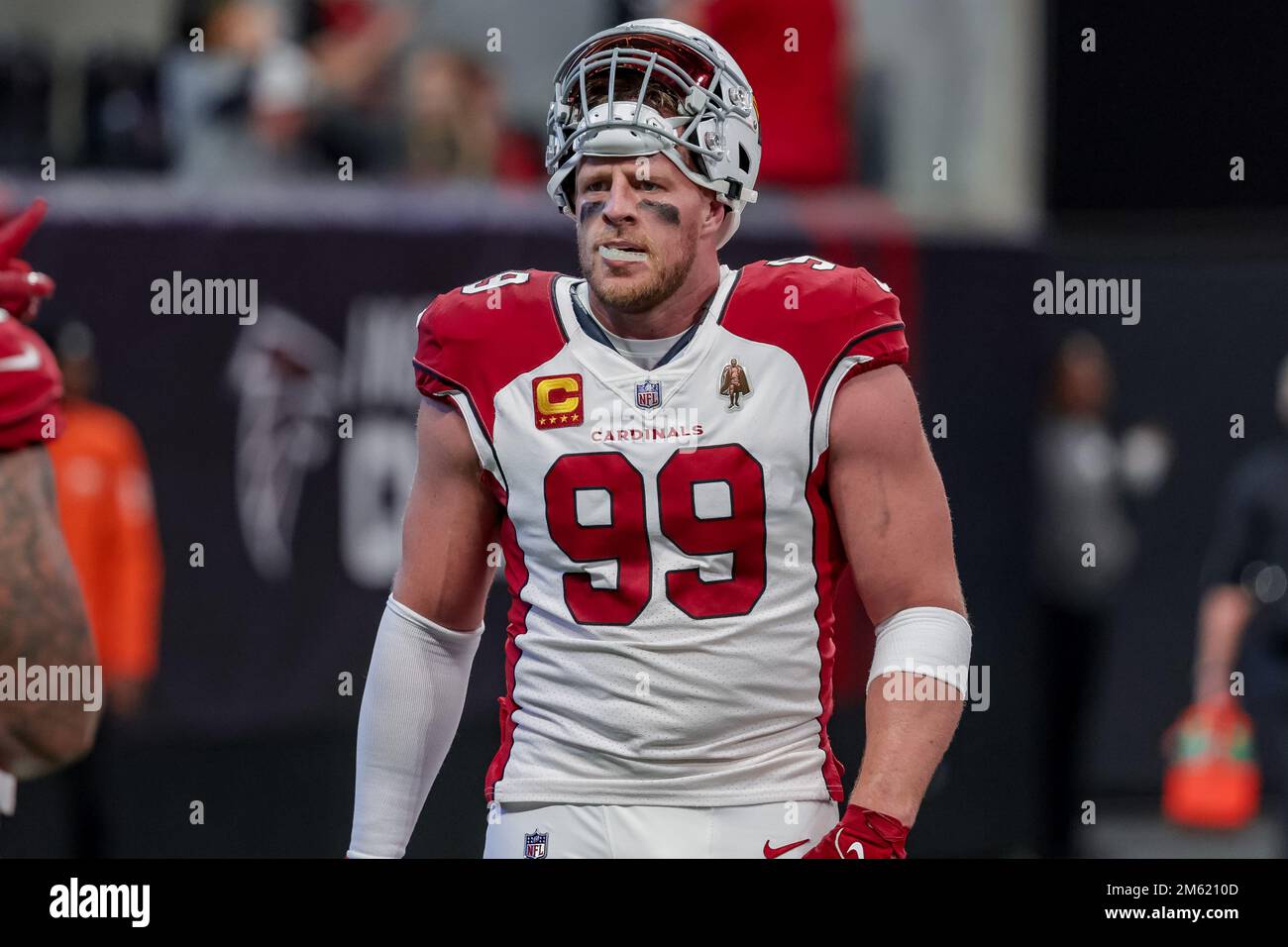 Falcons cardinals hi-res stock photography and images - Alamy