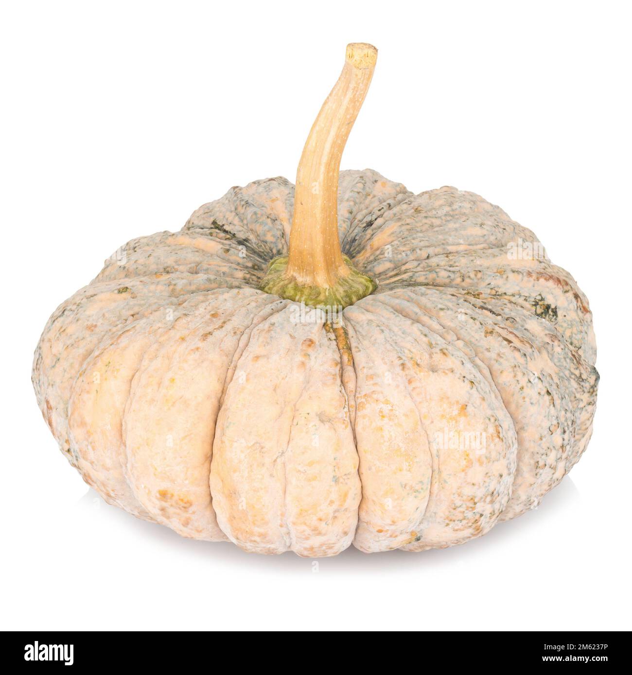 pumpkin isolated on white background Stock Photo - Alamy