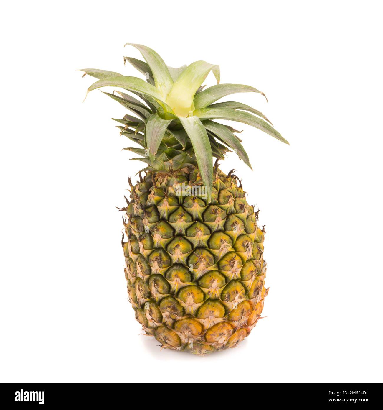 Pineapple isolated no white Background Stock Photo - Alamy
