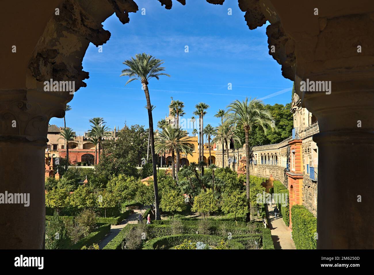 View at the Jardin de la Danza of the Alkazar of Seville Stock Photo