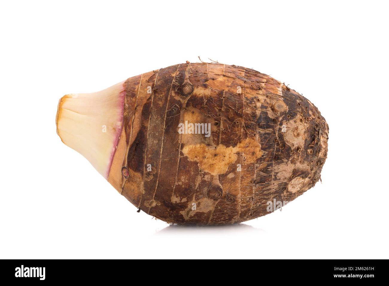 Japanese taro hi-res stock photography and images - Alamy