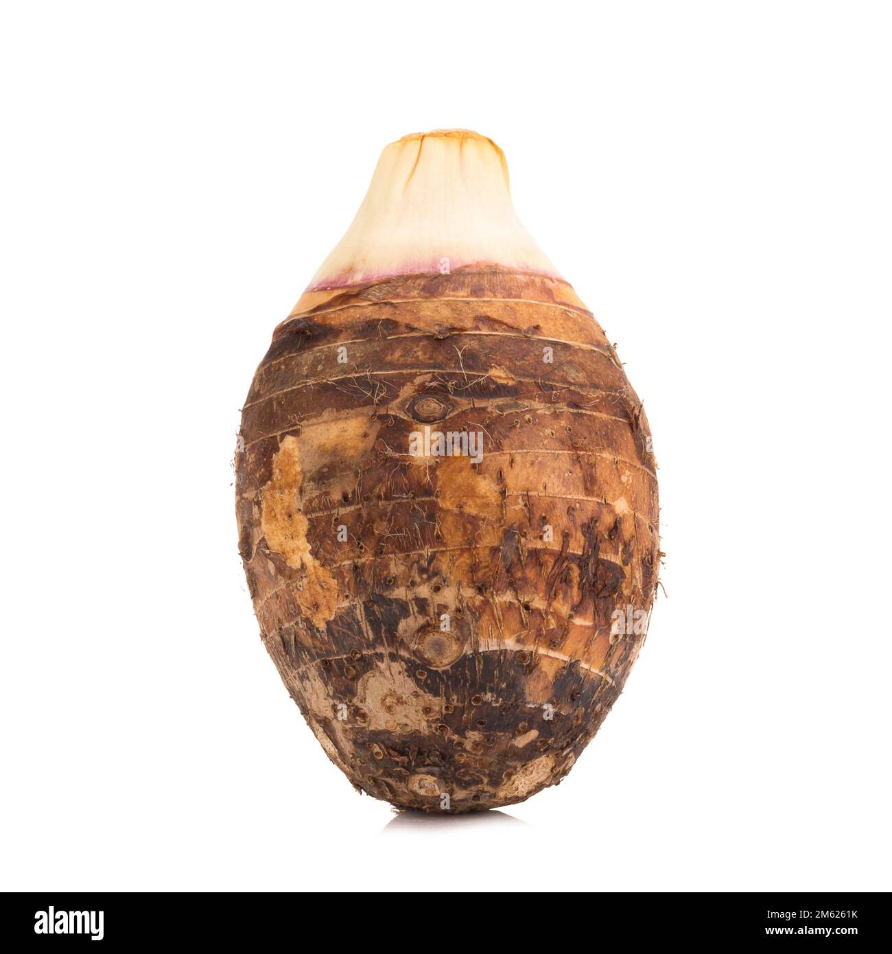 Japanese taro hi-res stock photography and images - Alamy