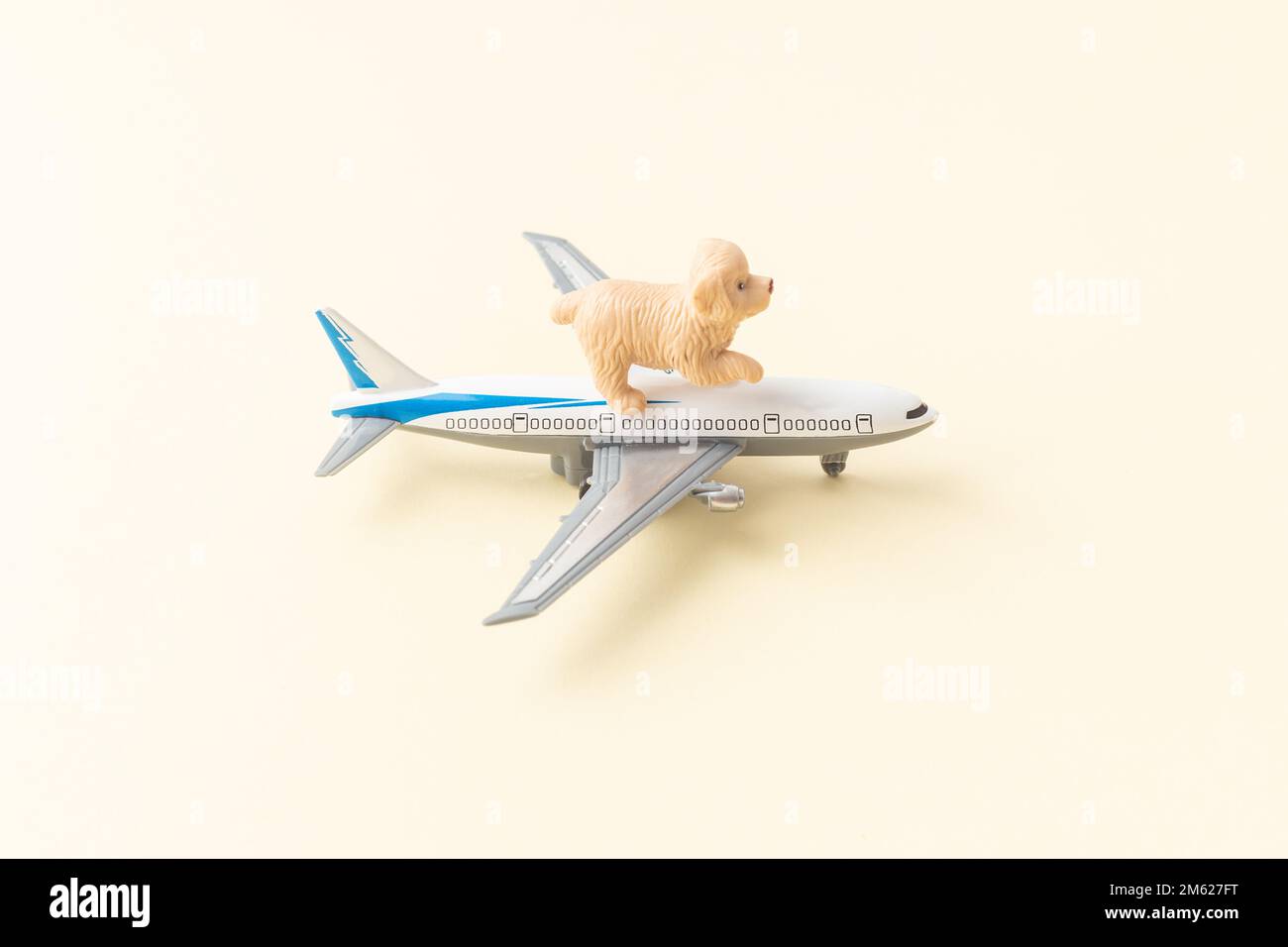 Pets dogs shipping concept by airplane Stock Photo Alamy