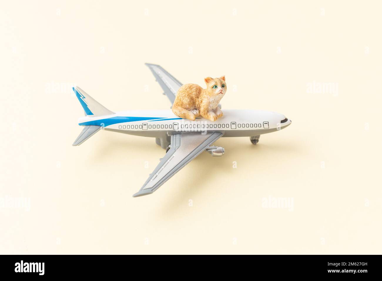 Pets cats shipping concept by airplane Stock Photo Alamy