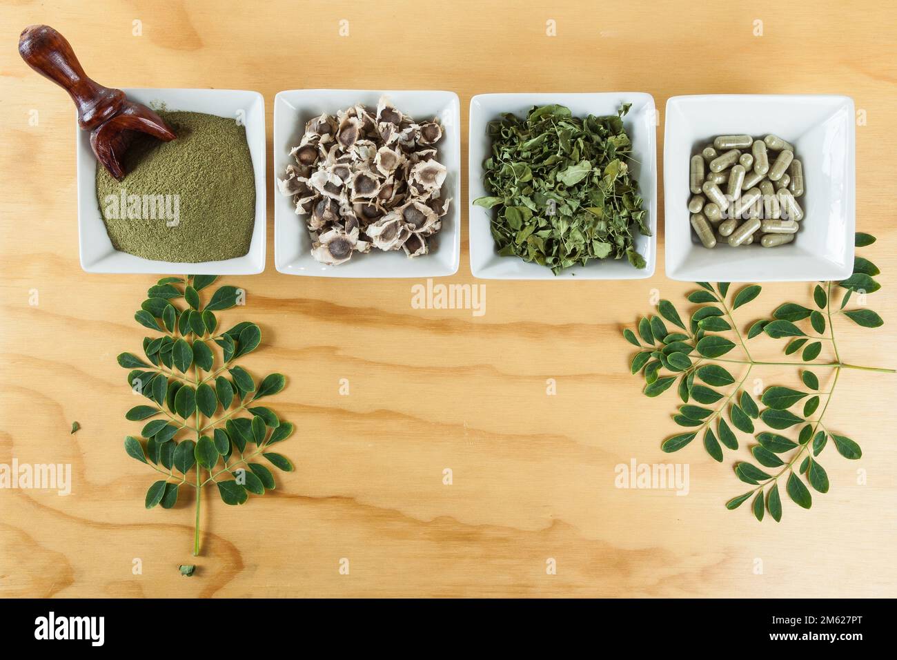 Moringa nutritional plant Seeds, leaves, capsules and powder - Moringa ...