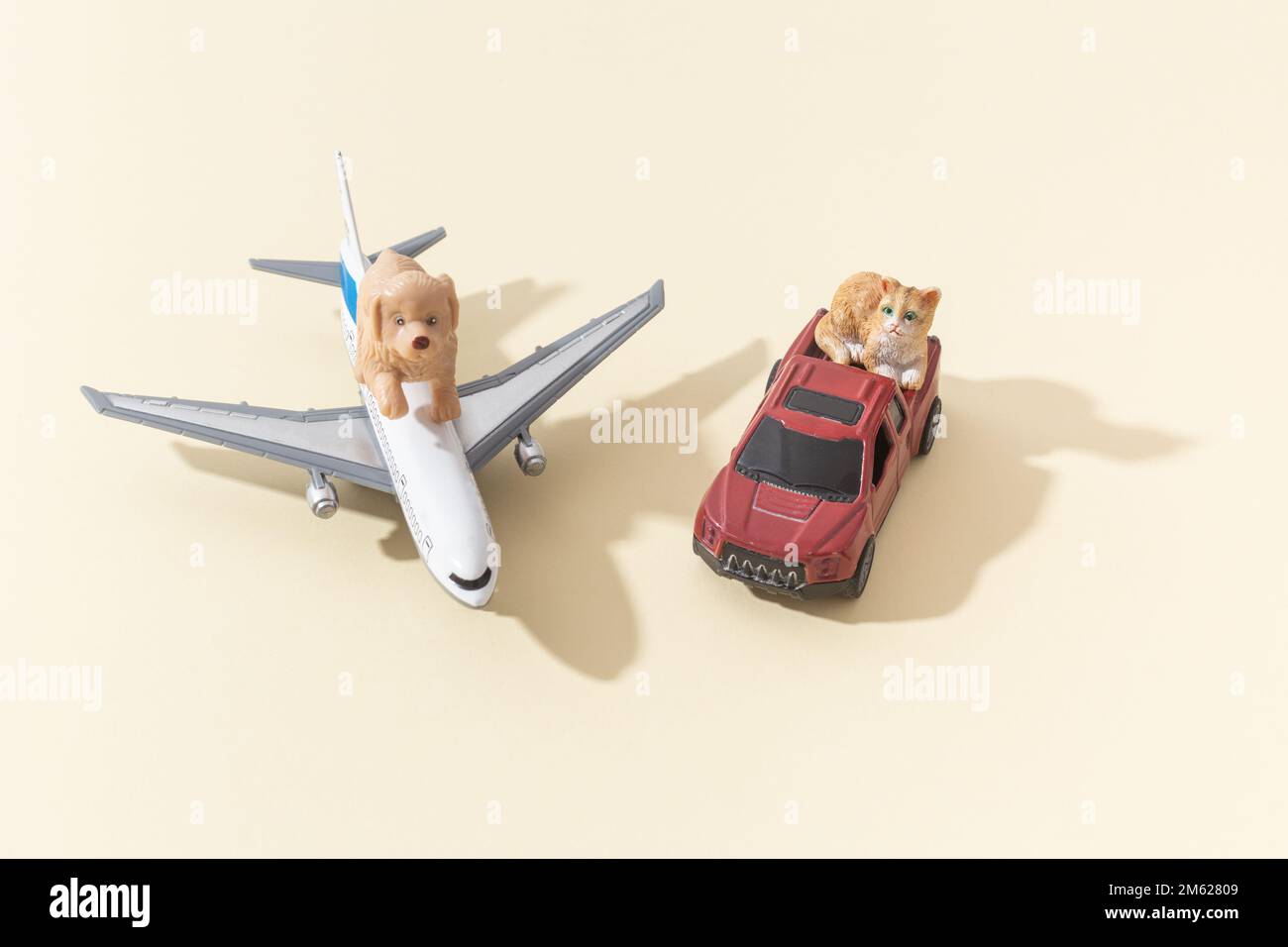 Pets dog and cat shipping concept by car and airplane Stock Photo Alamy