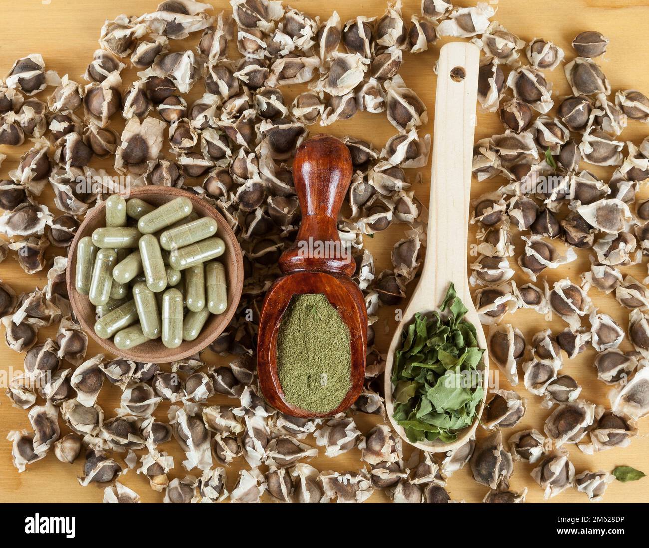 Moringa nutritional plant Seeds, leaves, capsules and powder - Moringa ...