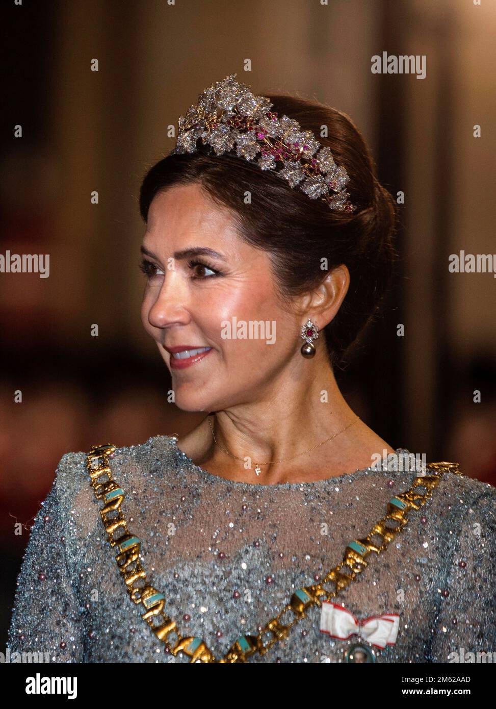 Crown Princess Mary of Denmark arrives at Amalienborg Palace in