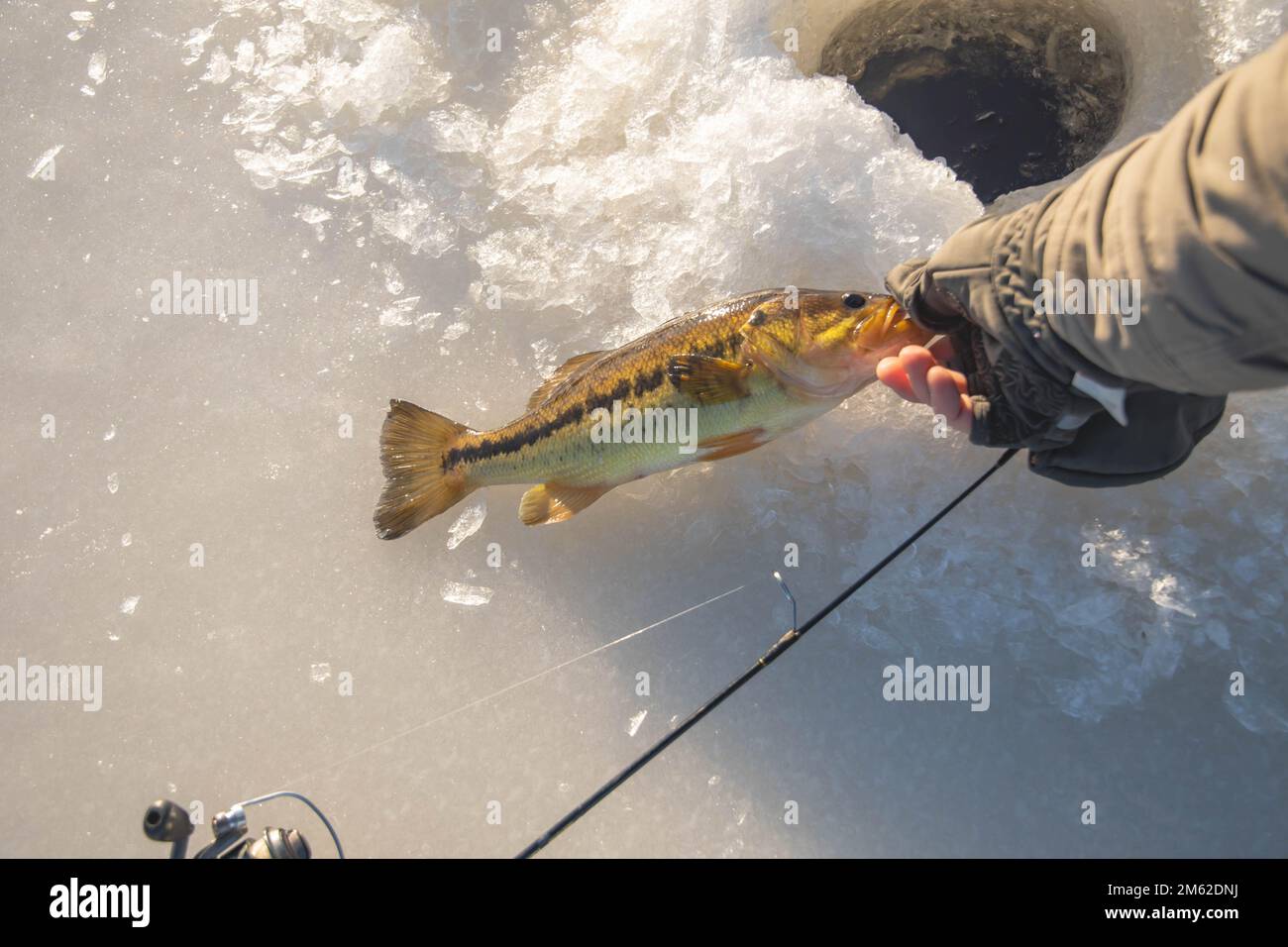 Fishing mouth hi-res stock photography and images - Page 4 - Alamy