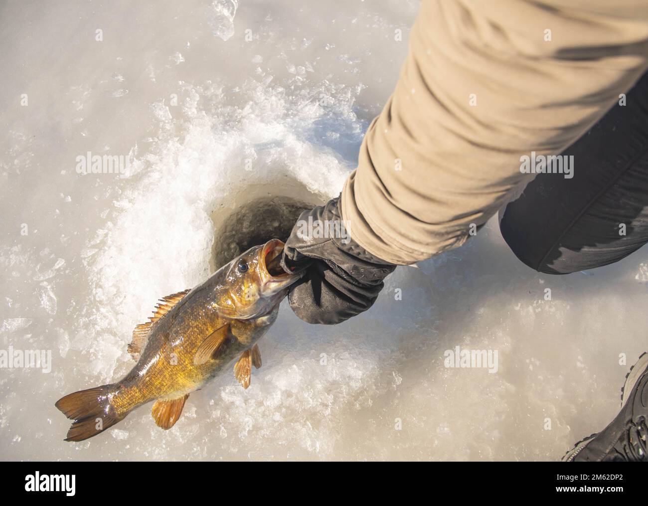 Fishing freshwater hi-res stock photography and images - Page 2