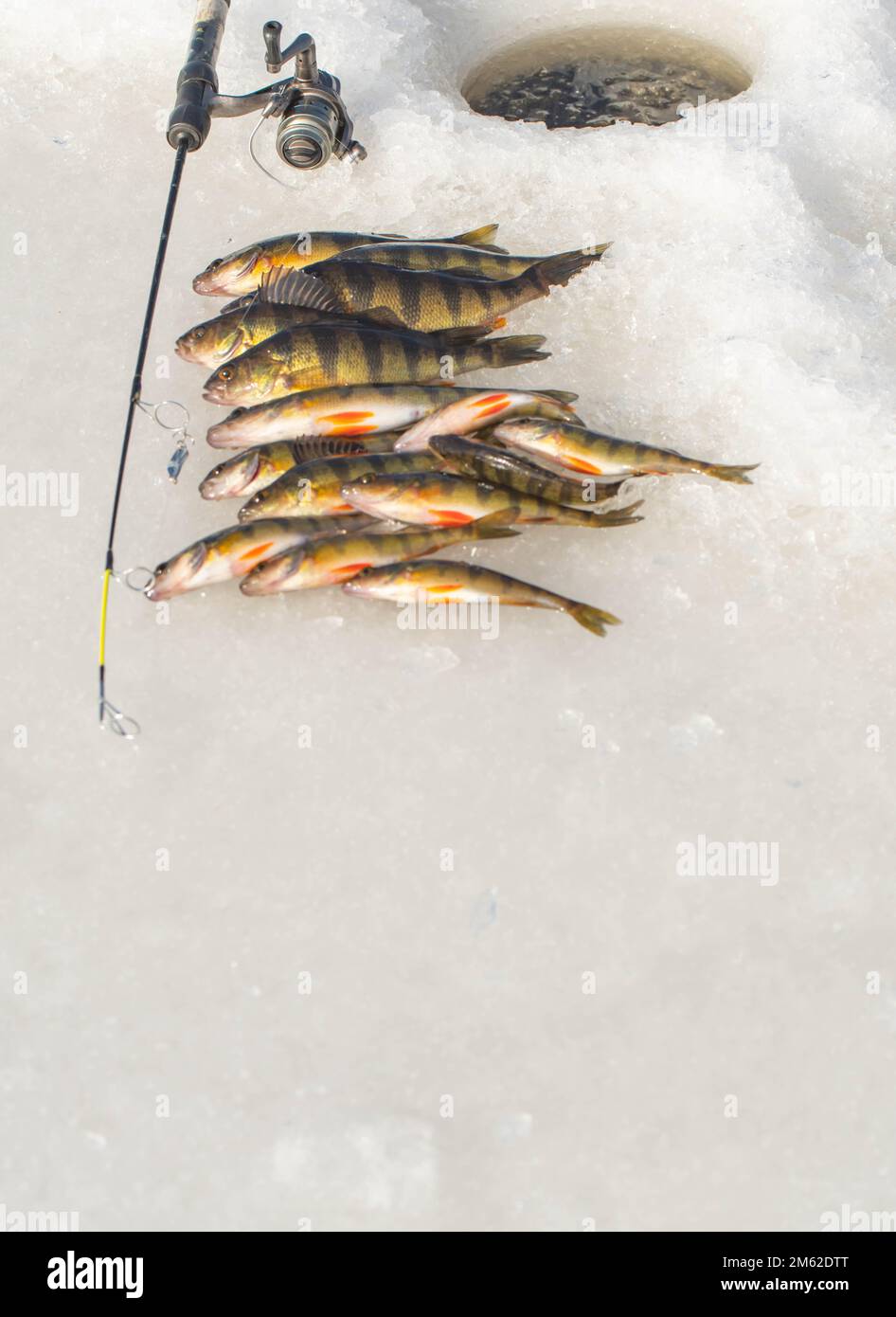 Winter fishing on ice, hobby leisure activities, catching fish Stock Photo