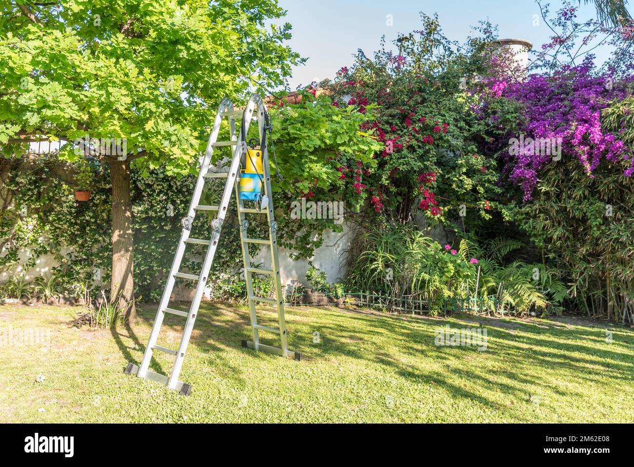 Metal ladder and insecticide sprayer in the garden ready for use.  Stock Photo