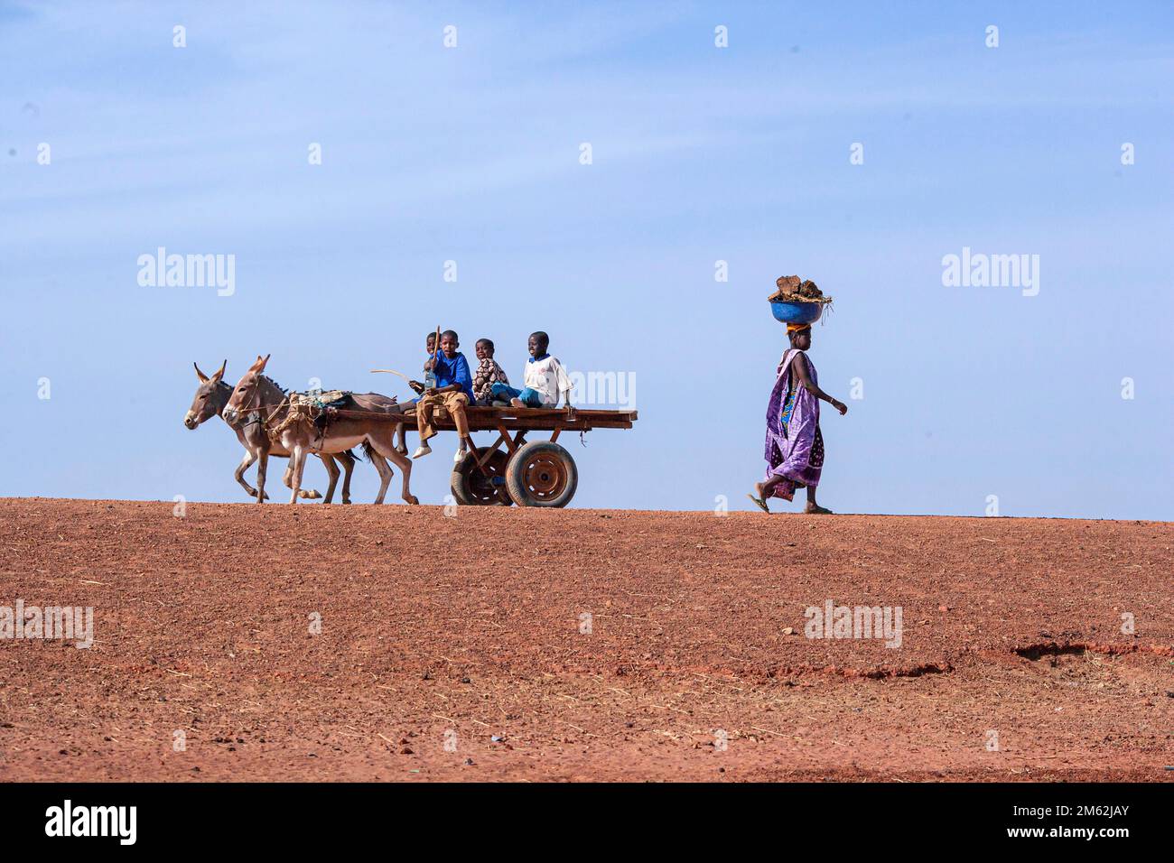 children riding a cart with a horse and african woman wiht things on head passing. Stock Photo