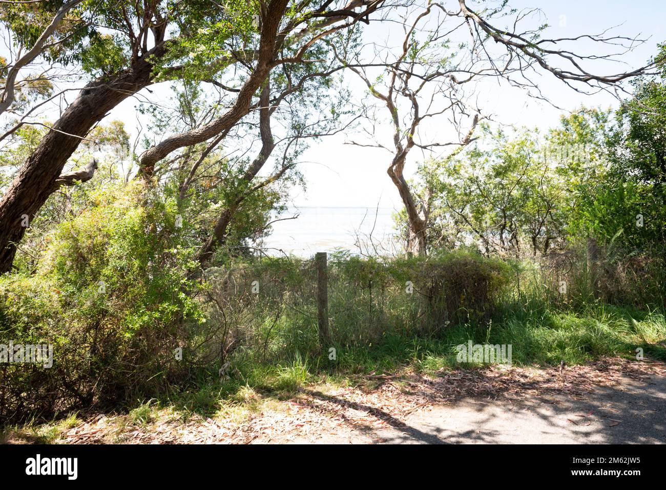 Bay Australia Victoria Stock Photo Alamy