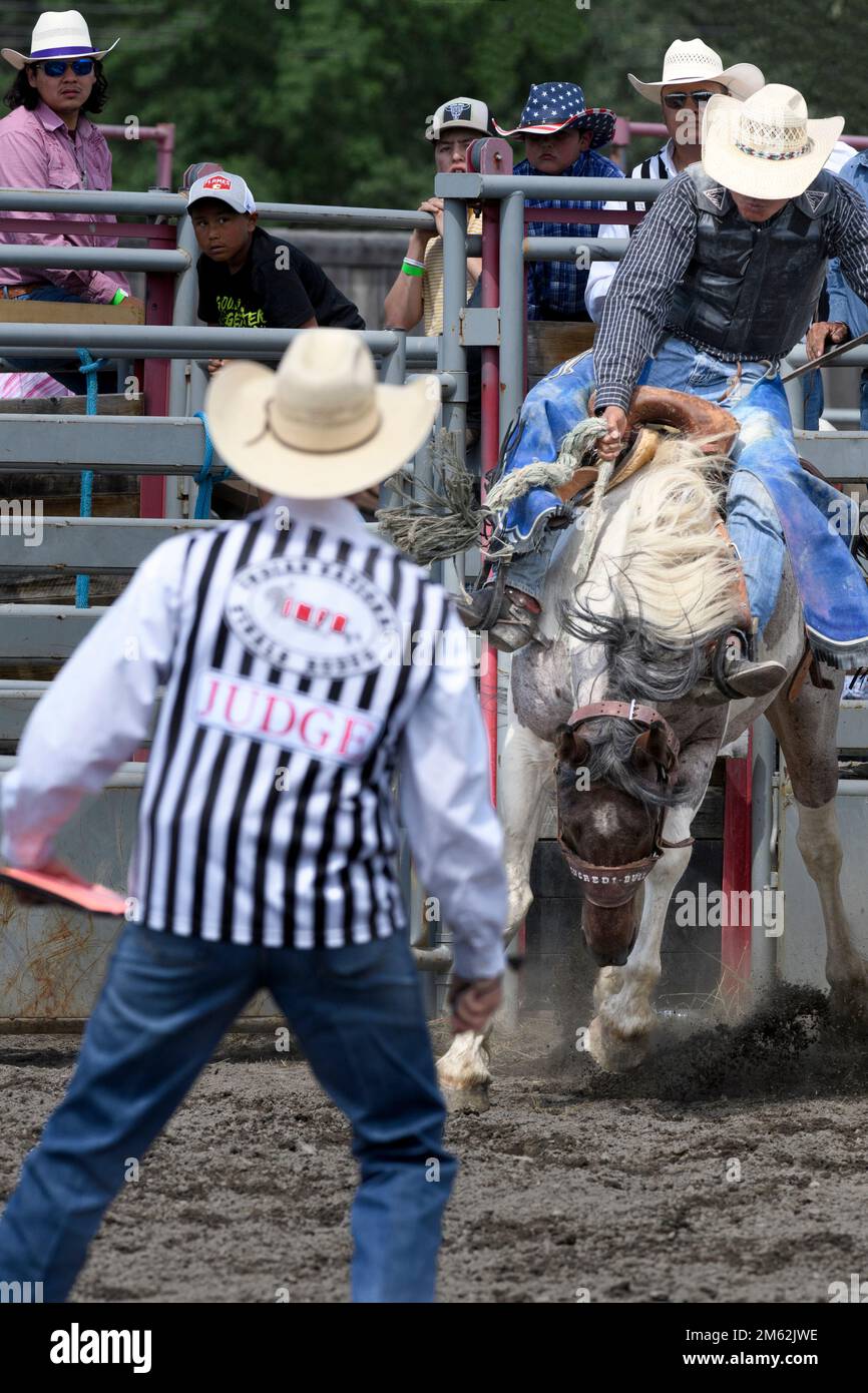 Saddle bronc rider at the  Tsuut’ina Nation Rodeo, Alberta Canada Stock Photo