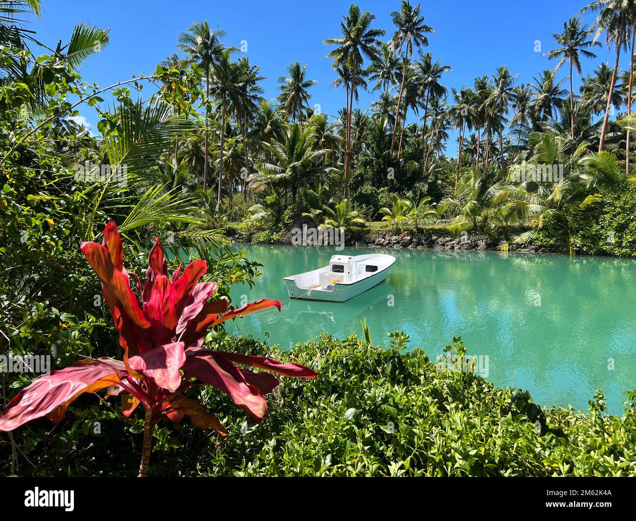 Motorboat on a green lagoon in Fiji Stock Photo