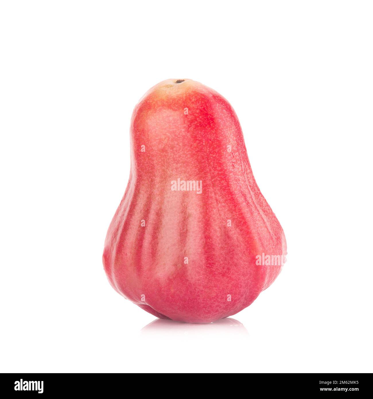 Rose apple isolated on the white background. Stock Photo