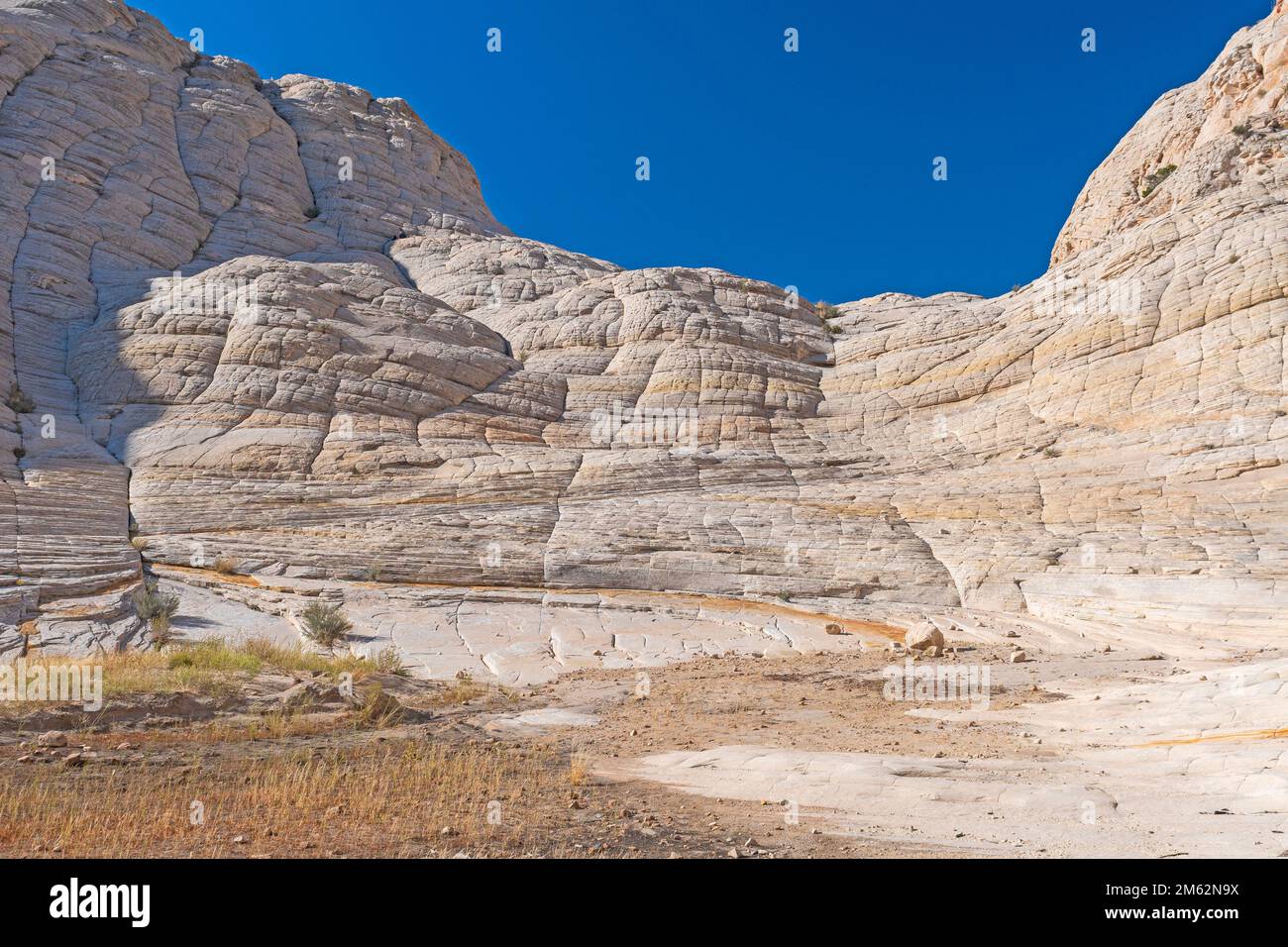 Utah White Rock