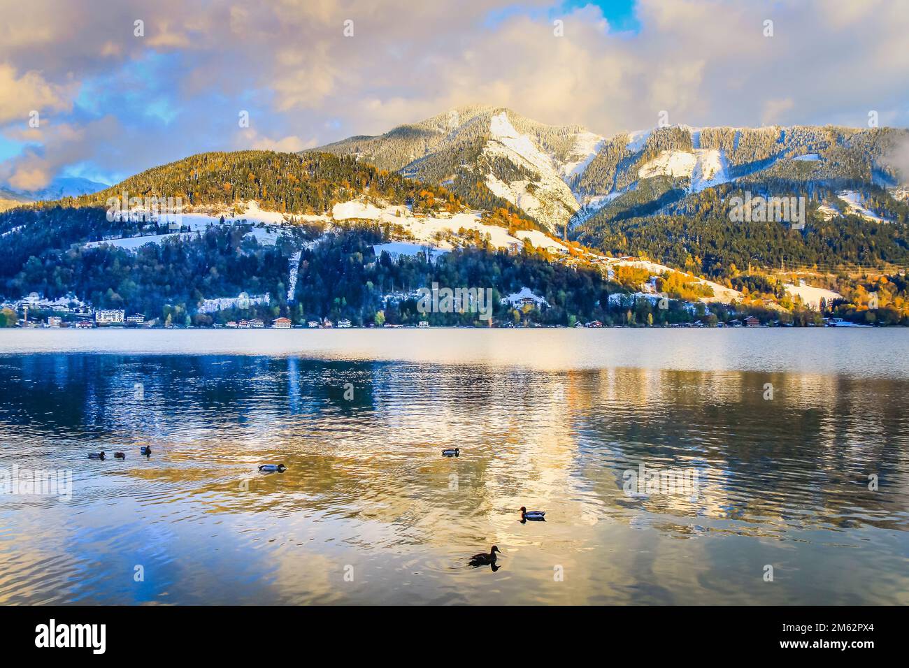 Zell am See gardens and blue lake idyllic landscape in Carinthia, Austria  Stock Photo - Alamy, image size:1300x956