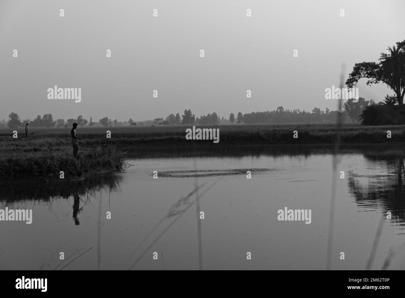 13.11.2022. west bengal. india. A lonely Indian fisherman fishing with net in natural pond . India. Stock Photo