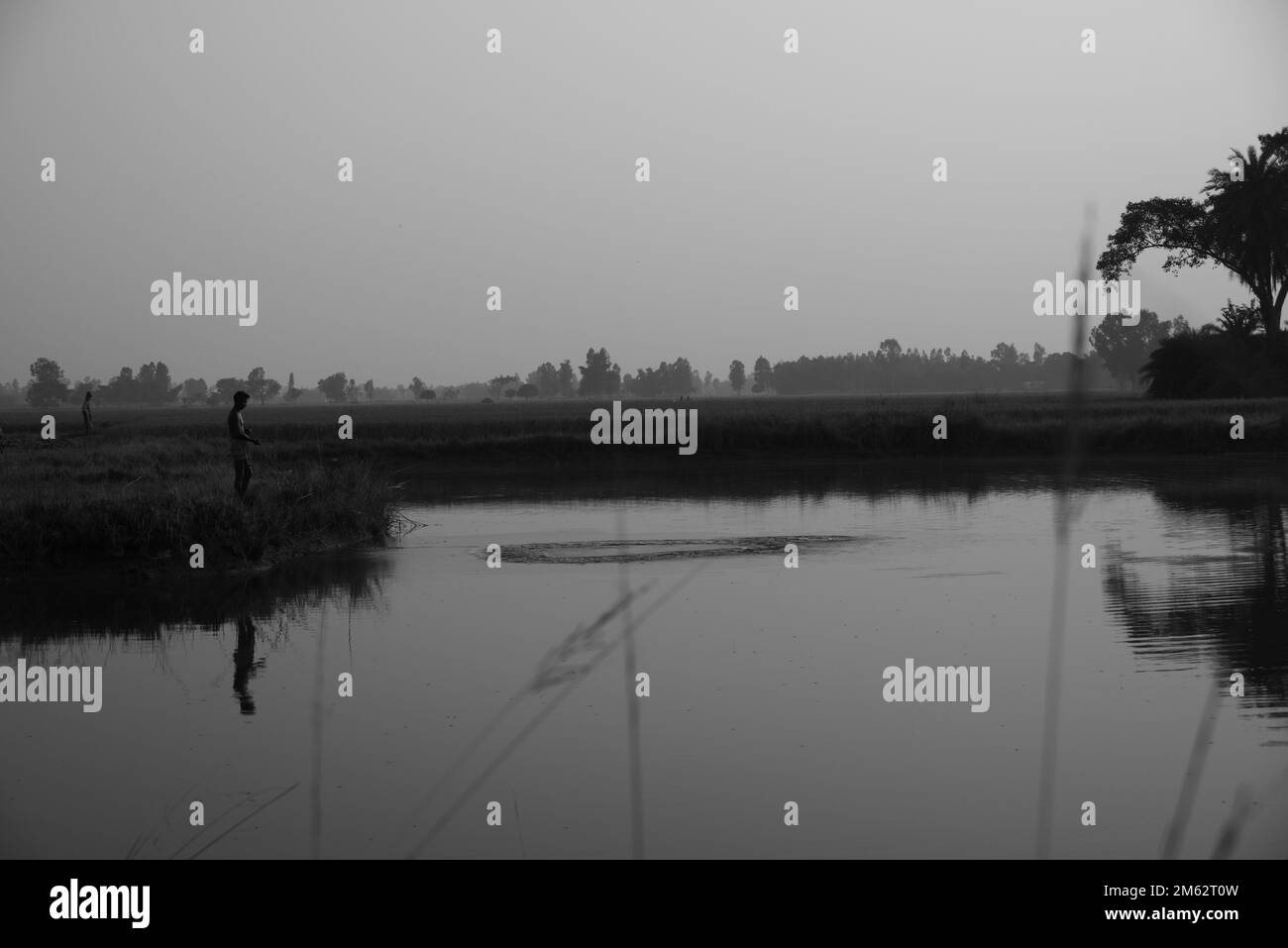 13.11.2022. west bengal. india. A lonely Indian fisherman fishing with net in natural pond . India. Stock Photo