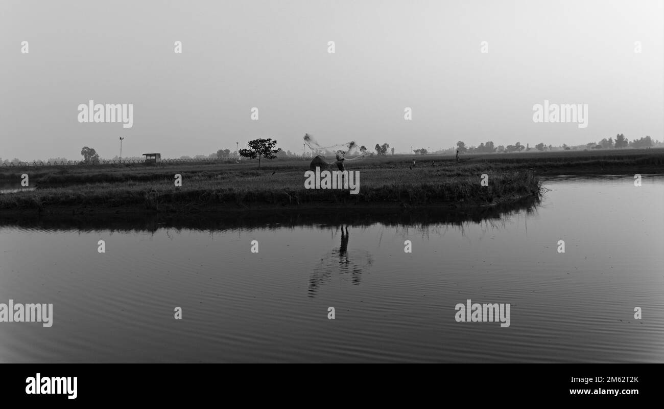 13.11.2022. west bengal. india. A lonely Indian fisherman fishing with net in natural pond . India. Stock Photo